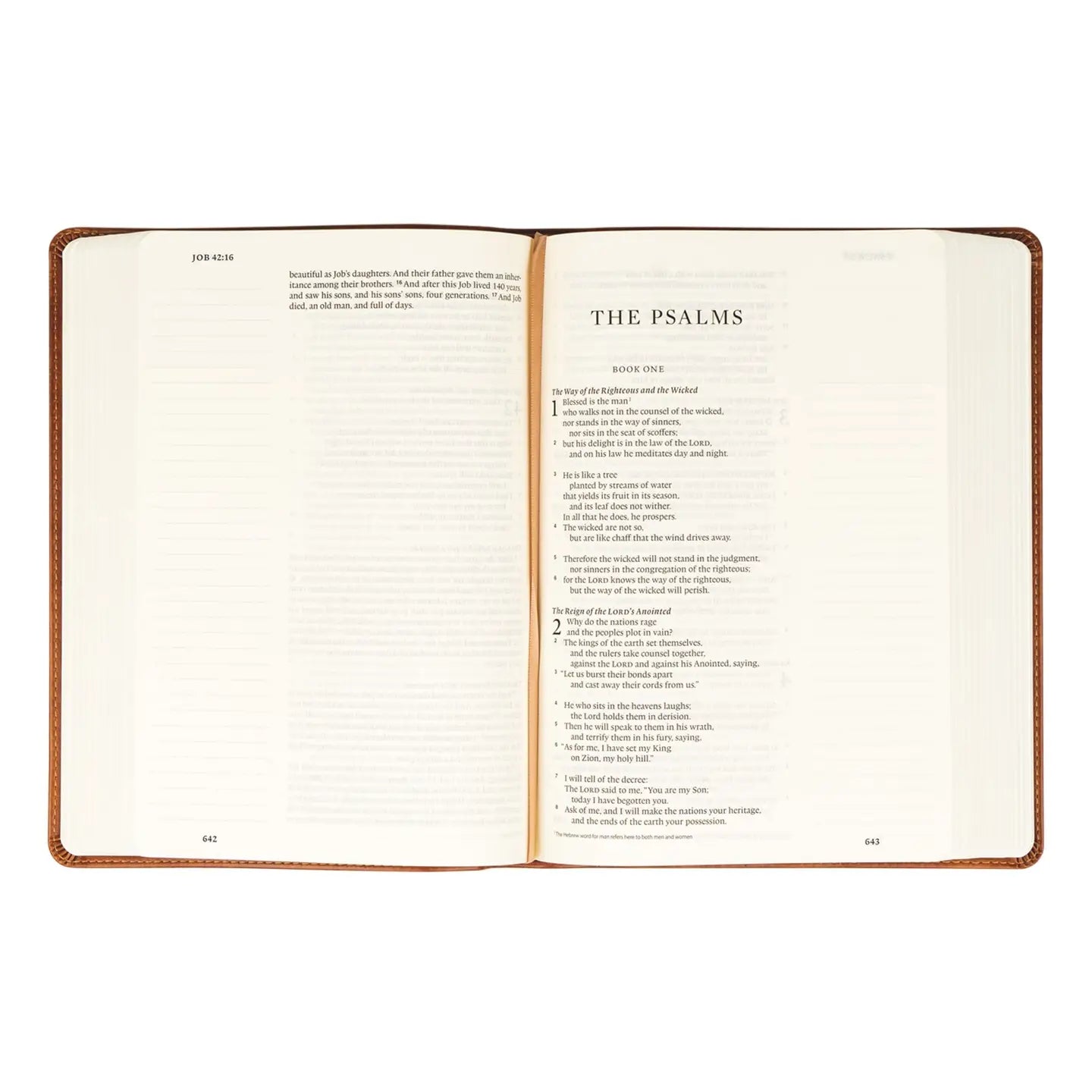 ESV Large Print Bible : Sierra Theme