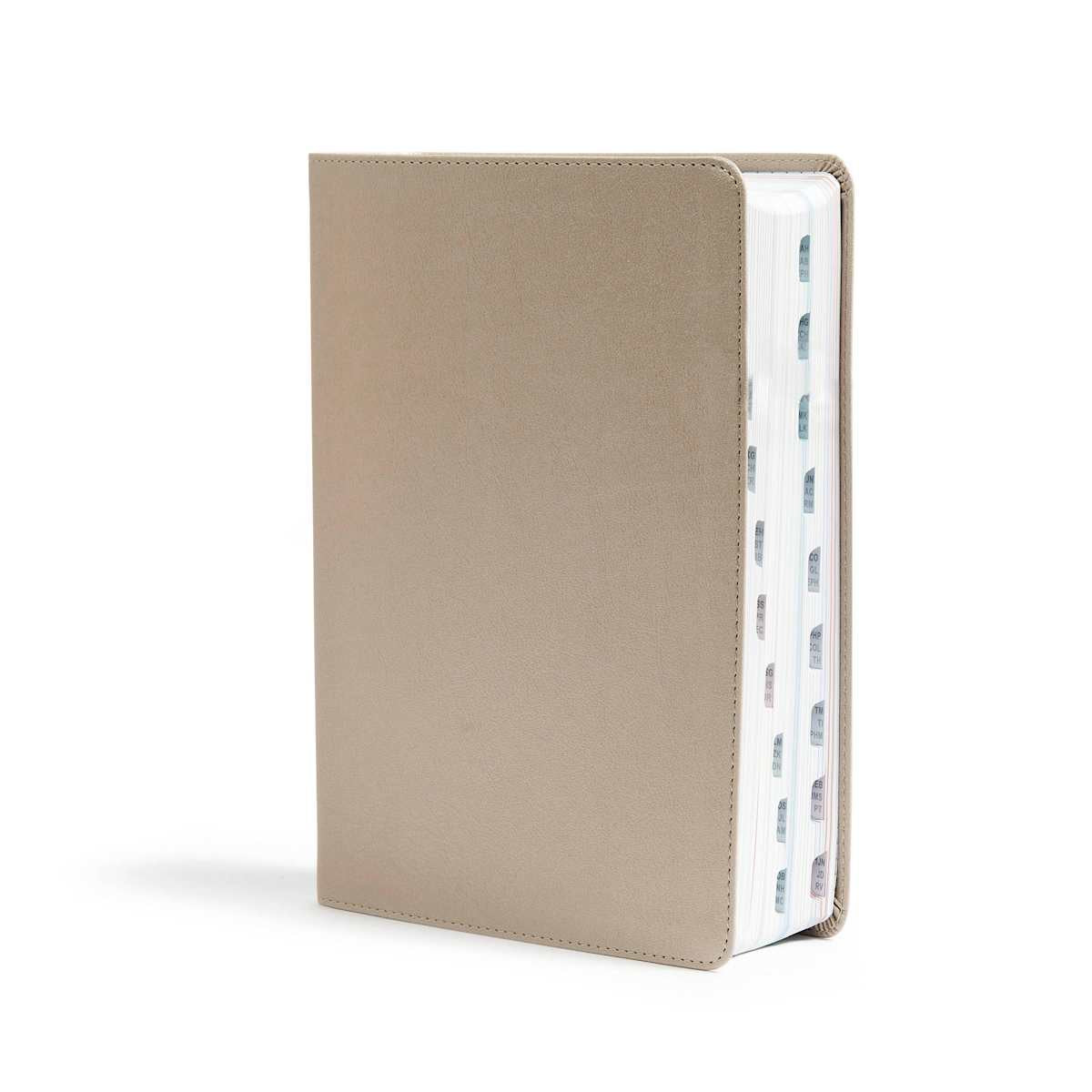CSB Bible | Champagne Gold