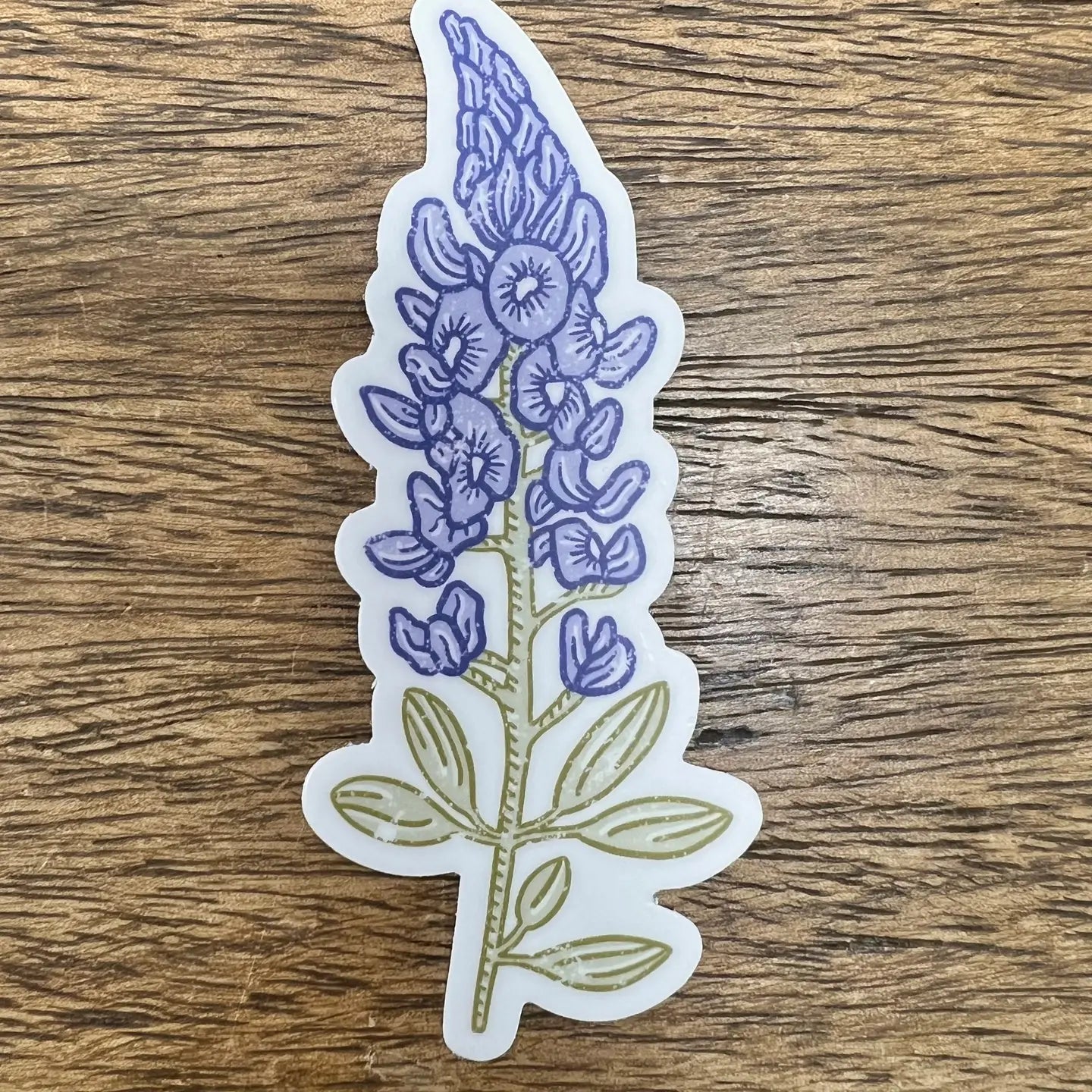 Bluebonnet Sticker