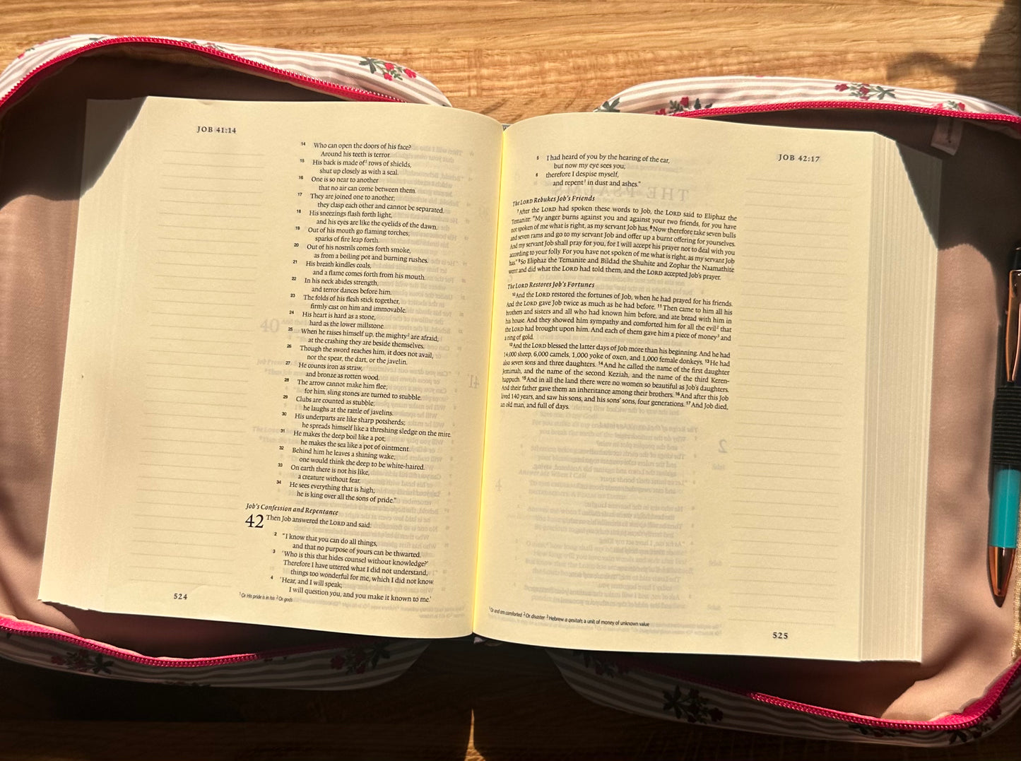 Bible Cover | Cottage Stripes
