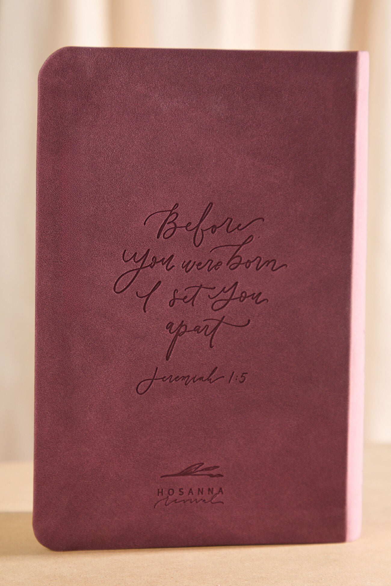 NLT Compact Bible: Helena Theme