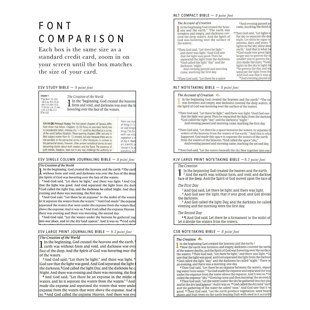 KJV Large Print Bible: Vienna Theme