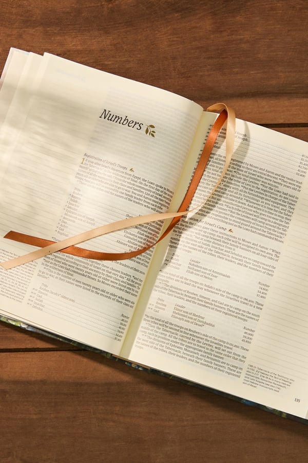 NLT Coram Bible