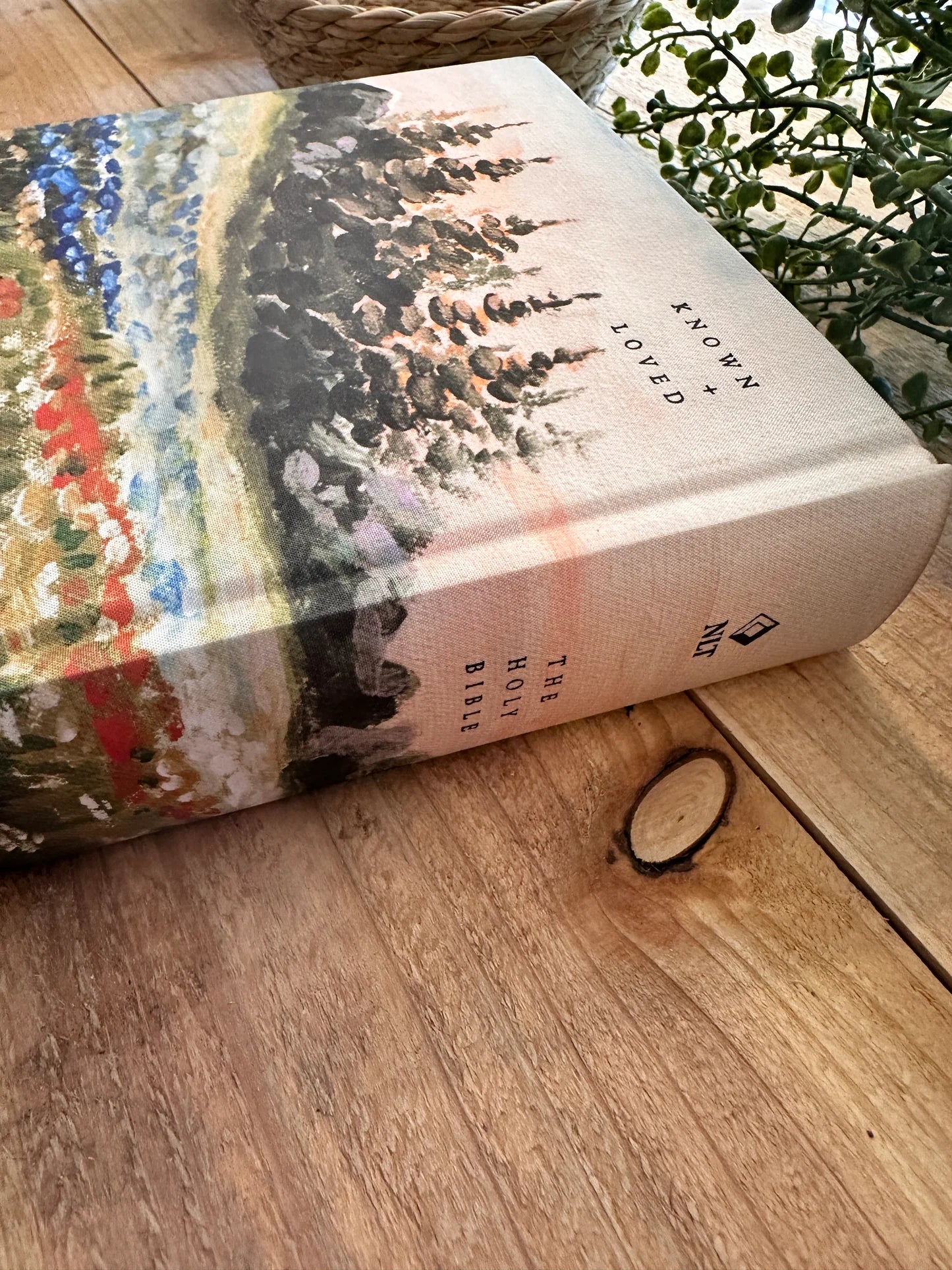 NLT Coram Bible