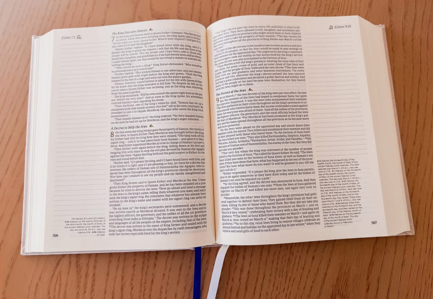 NLT Notetaking Bible: Adelaide Theme