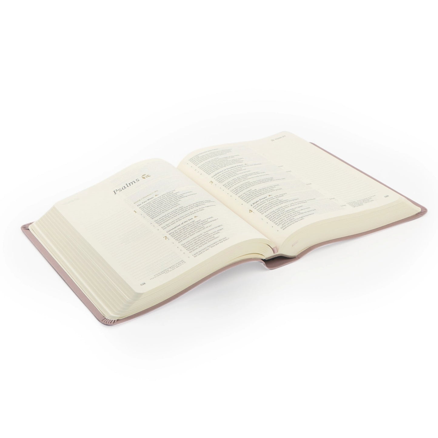 CSB Notetaking Mauve Bible