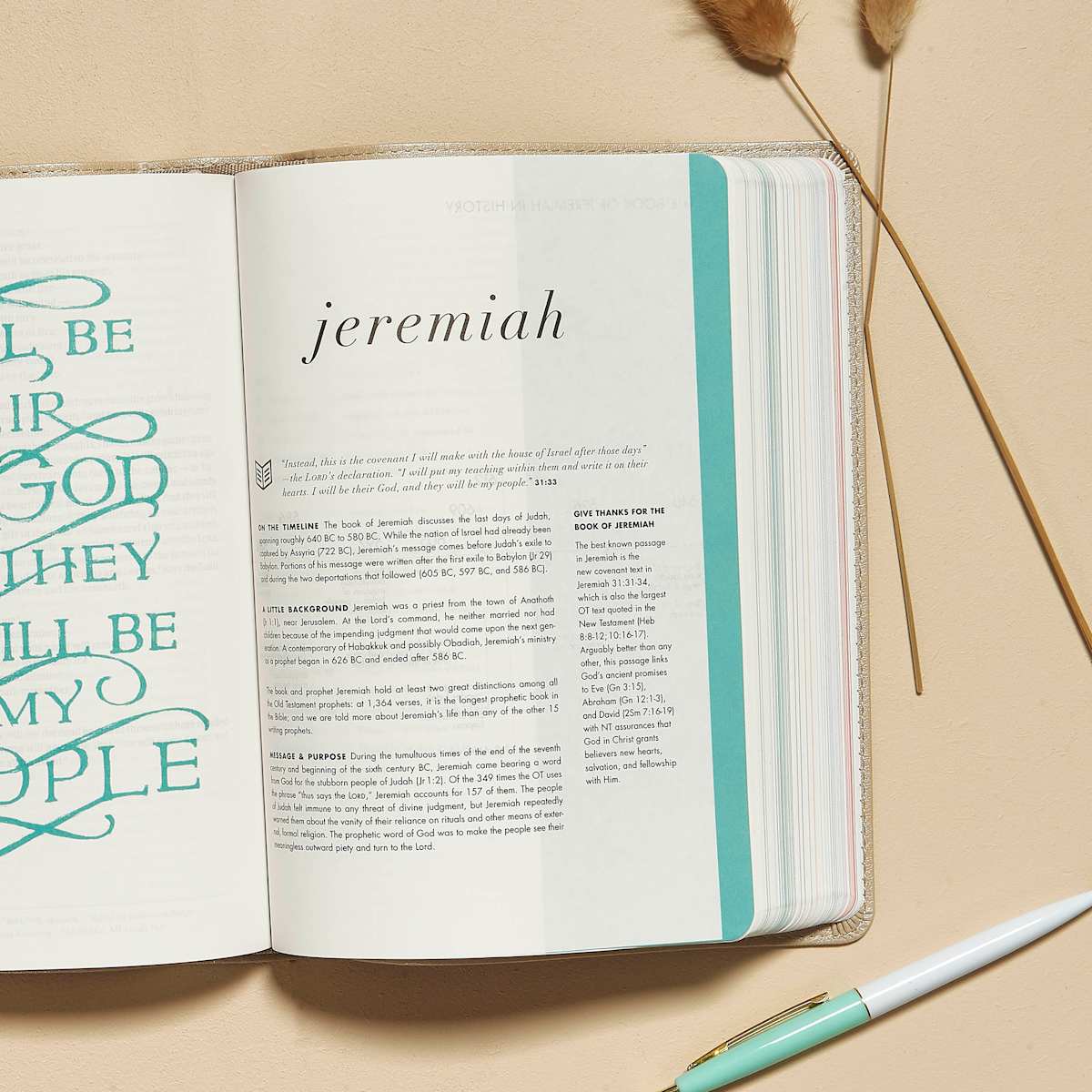 CSB Bible | Champagne Gold