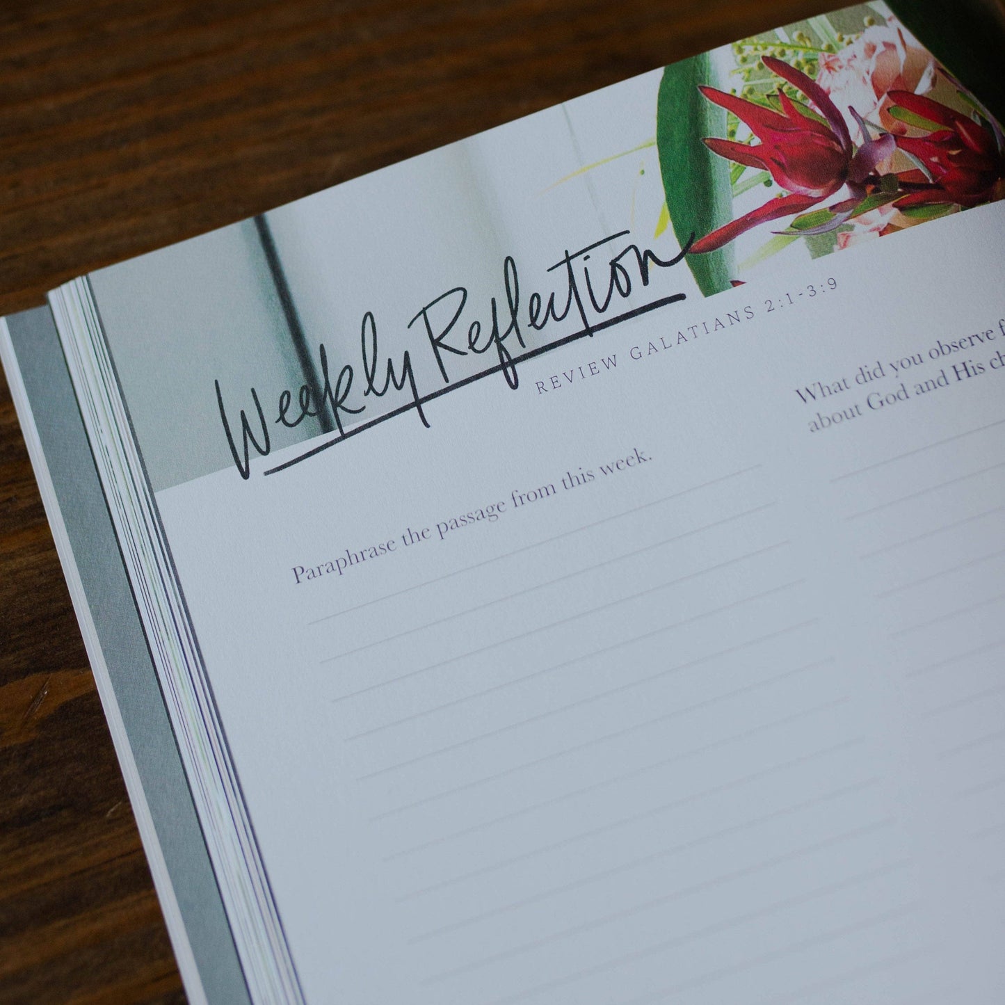 By Faith a Study on Galatians