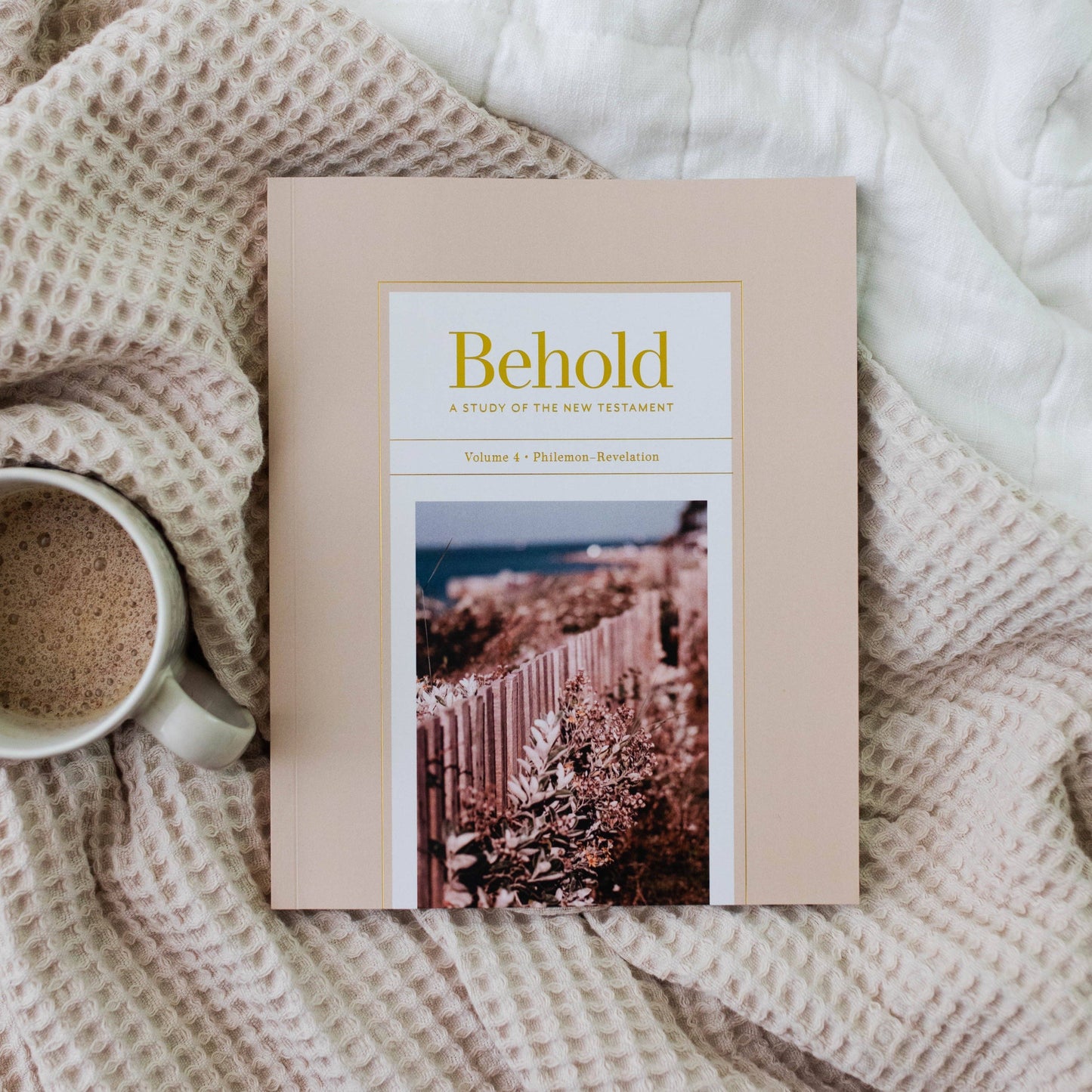 Behold: New Testament | Volume 4 Study