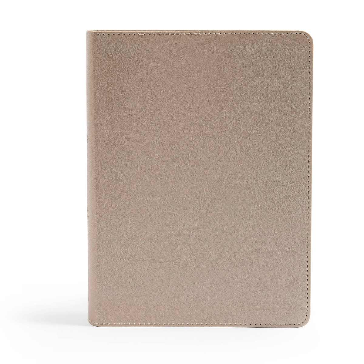 CSB Bible | Champagne Gold