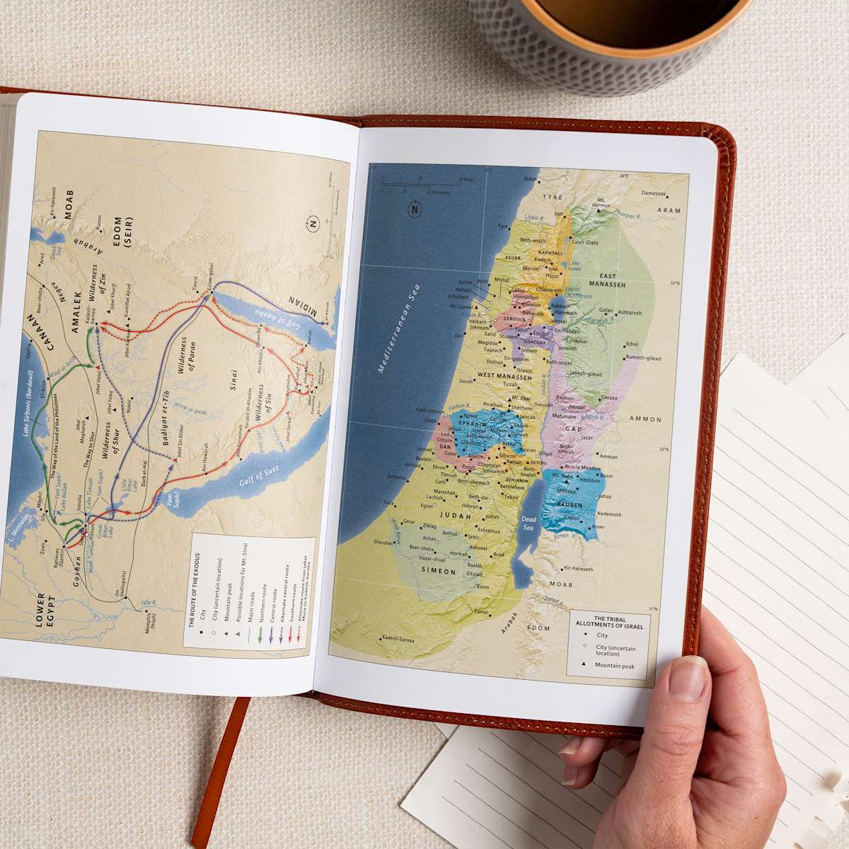 CSB Large Print Bible | Burnt Sienna