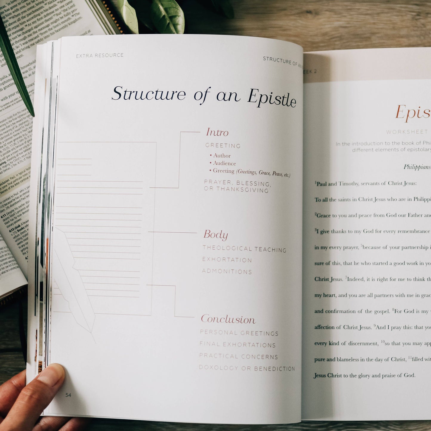 Search the Word Workbook