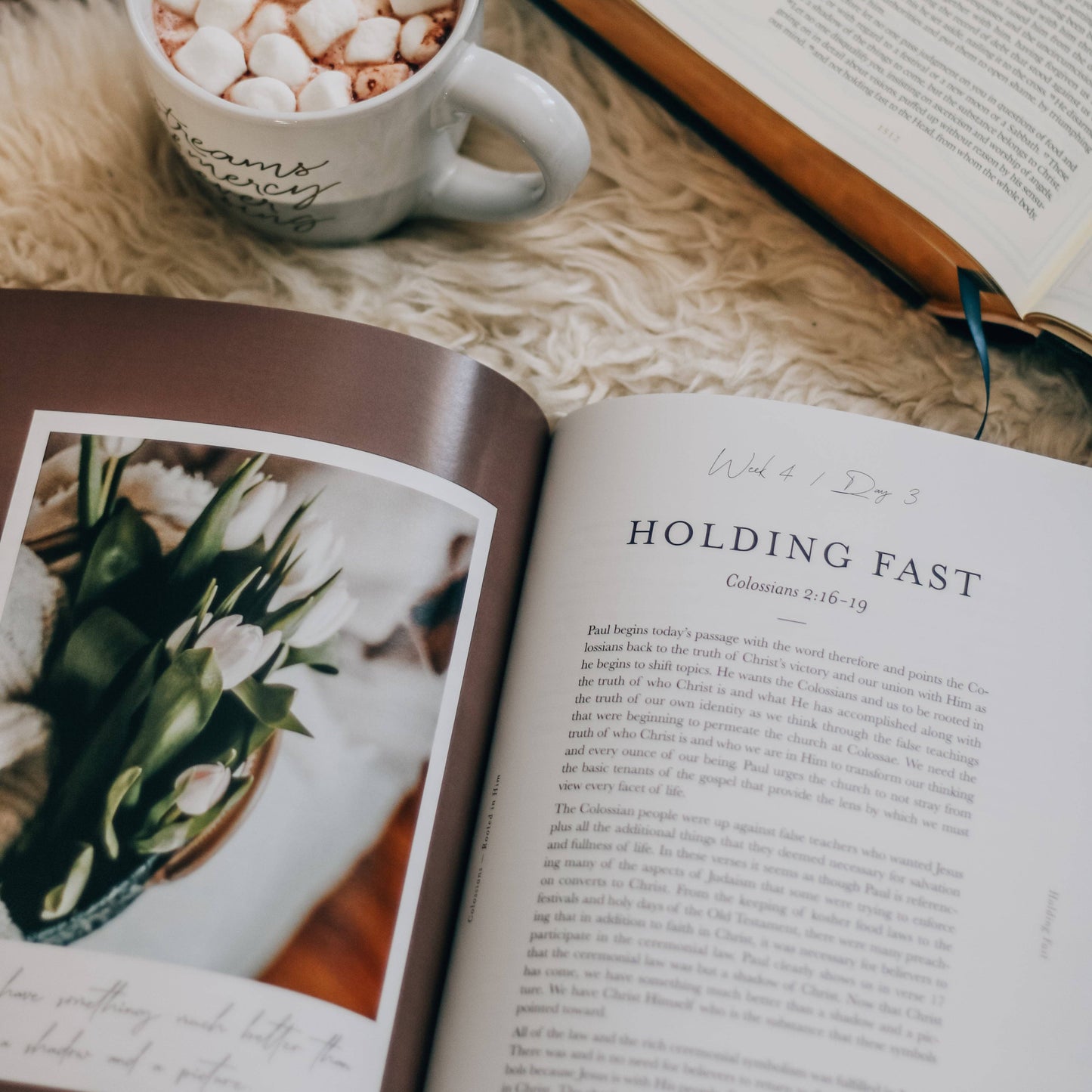 Colossians Bible Study | Rooted in Him.