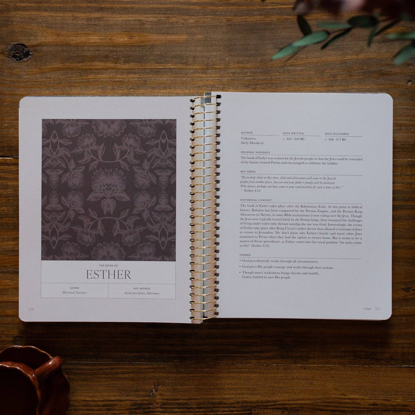 A Year in the Bible Volume 2 | 1 Kings-Psalms