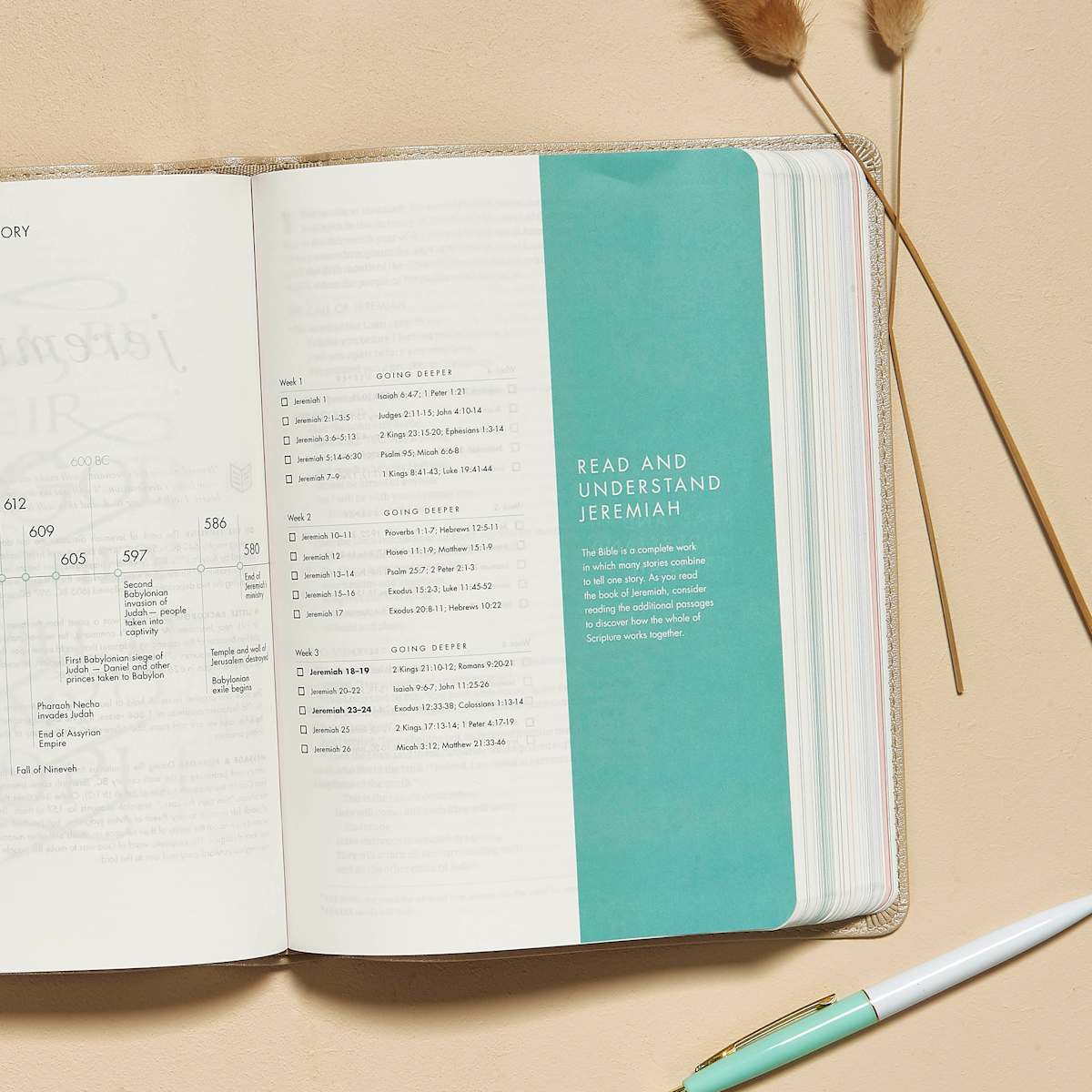 CSB Bible | Champagne Gold