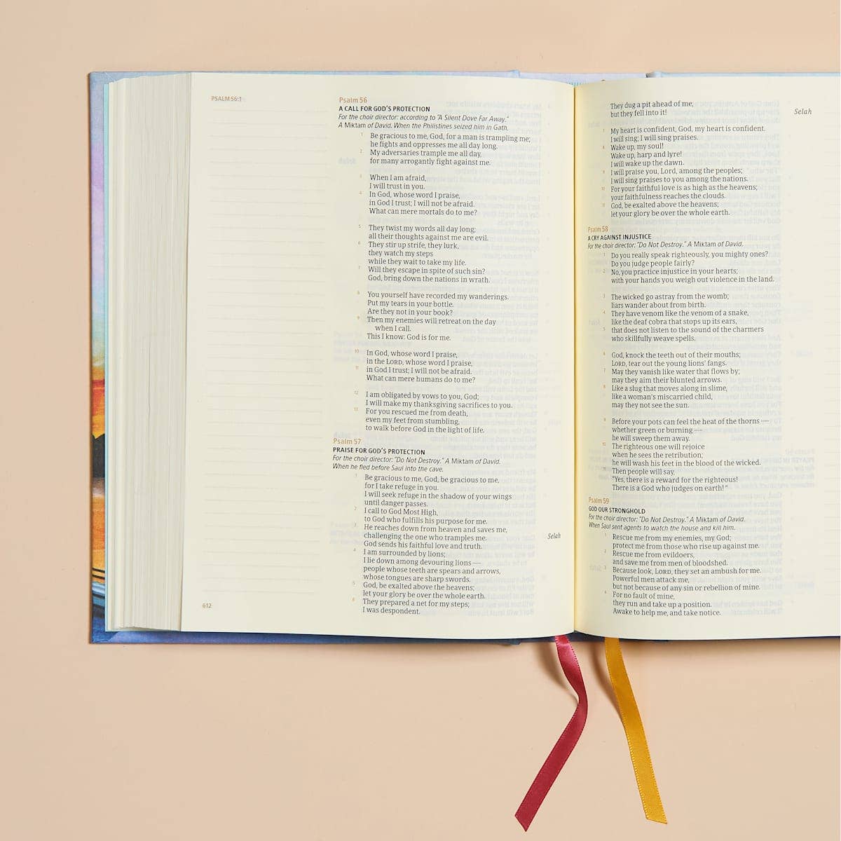 CSB Bible | Sunset Reflections