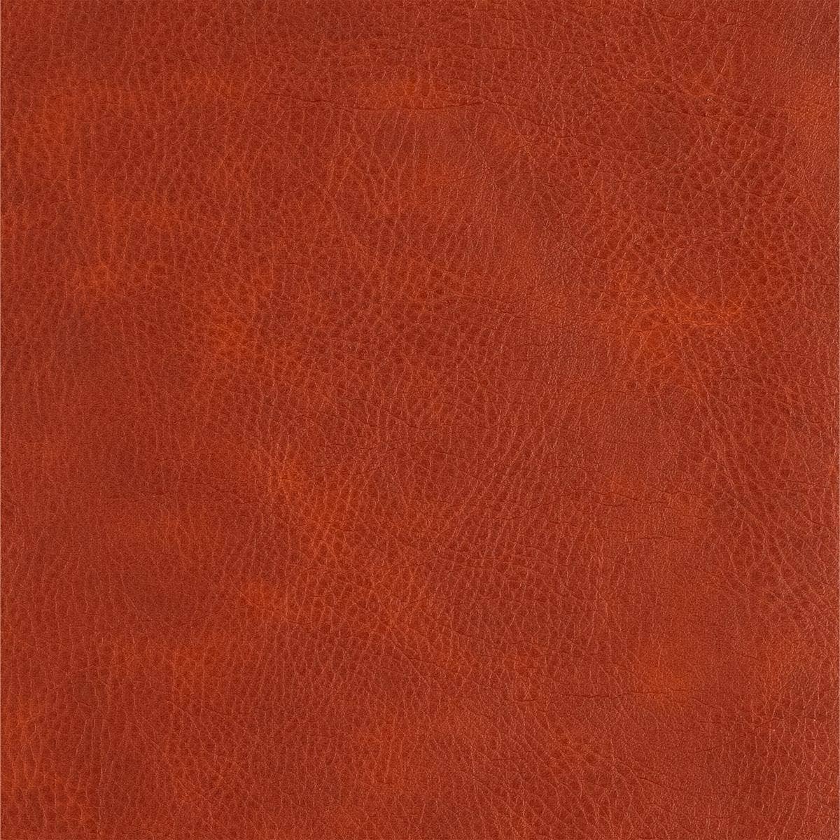 CSB Large Print Bible | Burnt Sienna