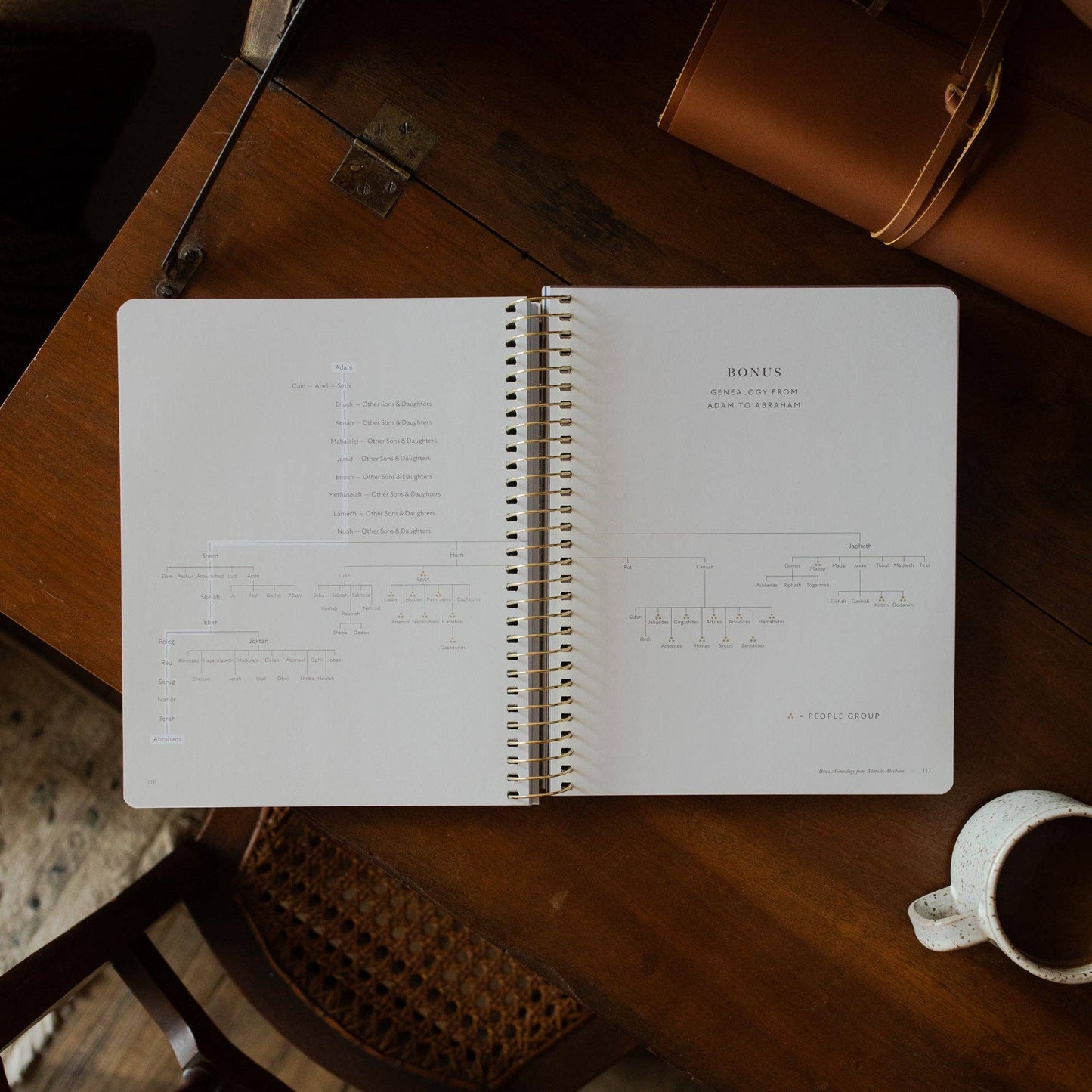 Genesis Bible Study