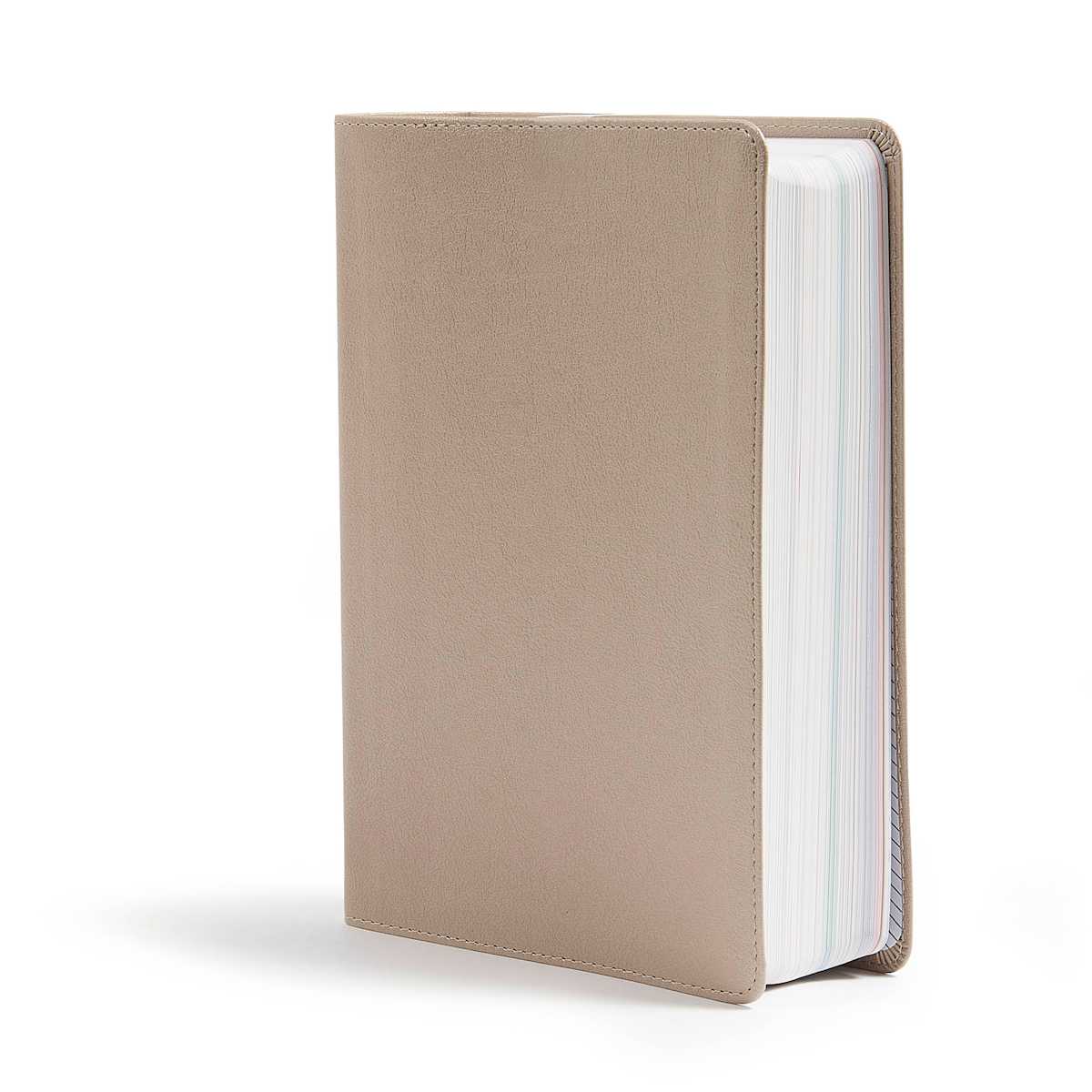 CSB Bible | Champagne Gold