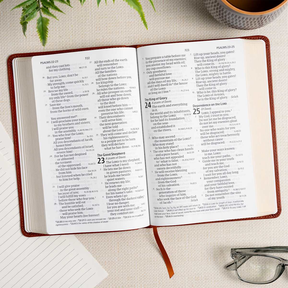 CSB Large Print Bible | Burnt Sienna