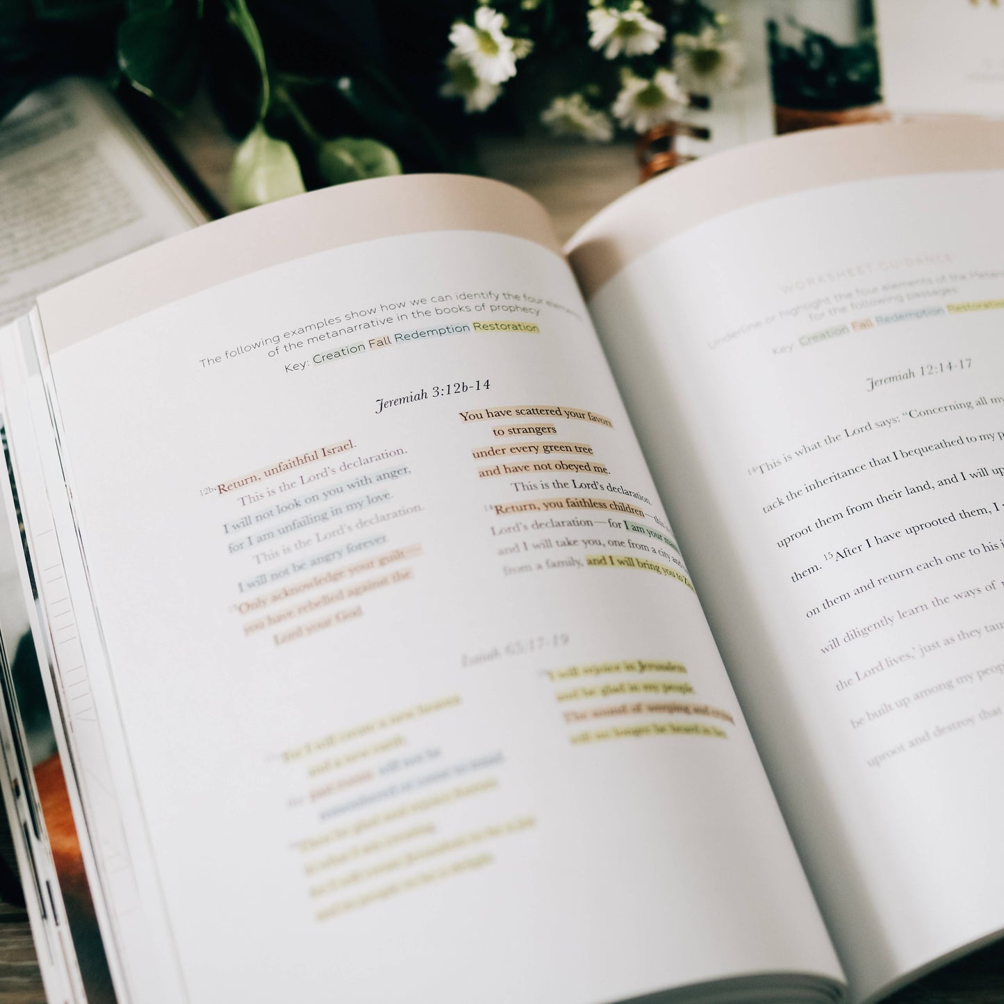 Search the Word Workbook