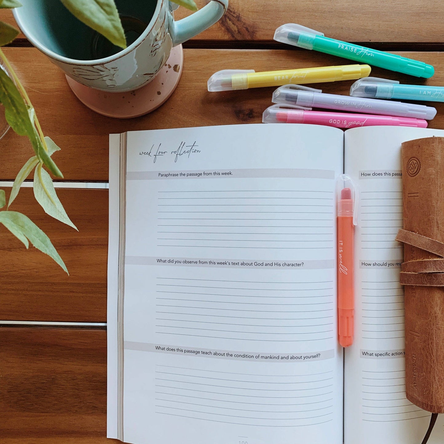Colossians Bible Study | Rooted in Him.
