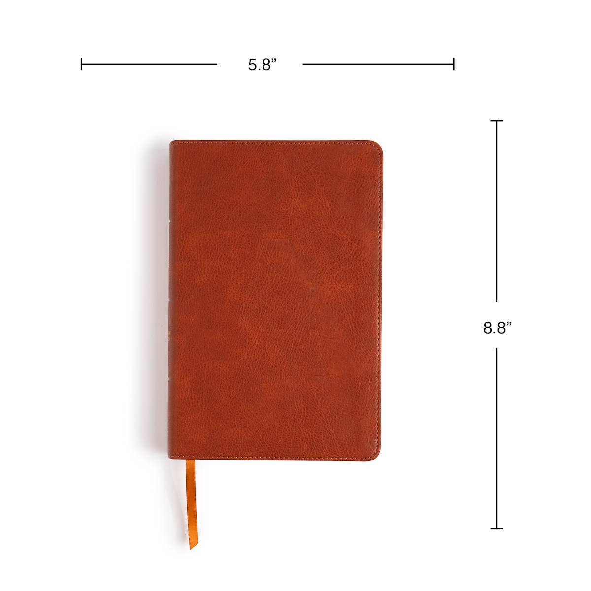 CSB Large Print Bible | Burnt Sienna