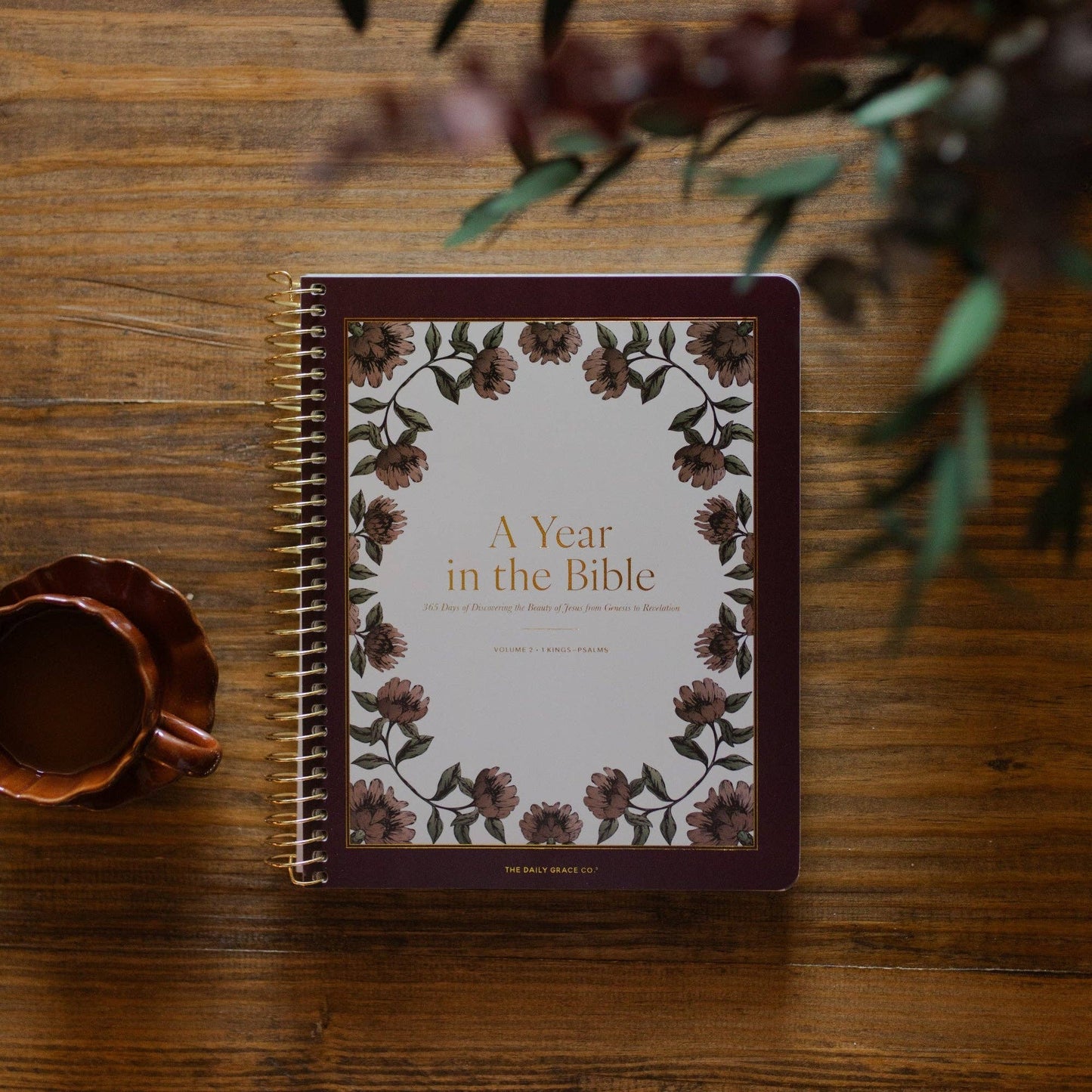 A Year in the Bible Volume 2 | 1 Kings-Psalms