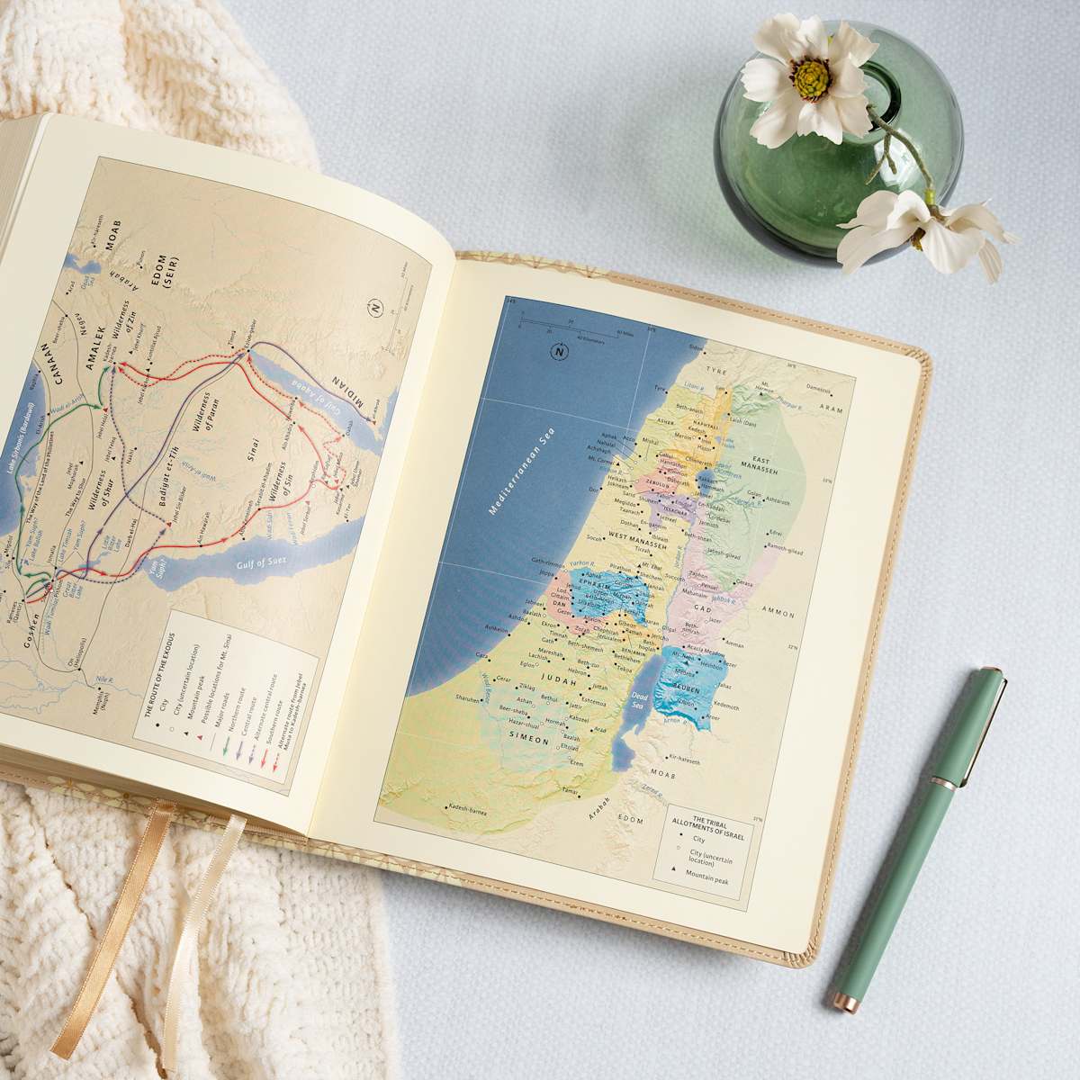 CSB Bible | Cream Blooms