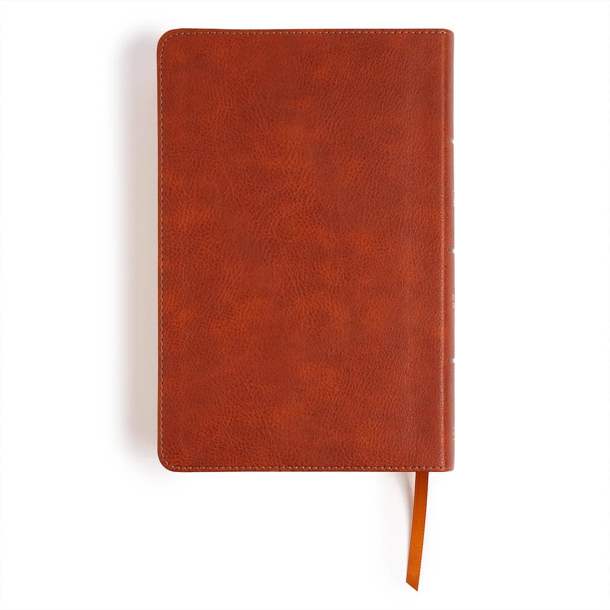 CSB Large Print Bible | Burnt Sienna