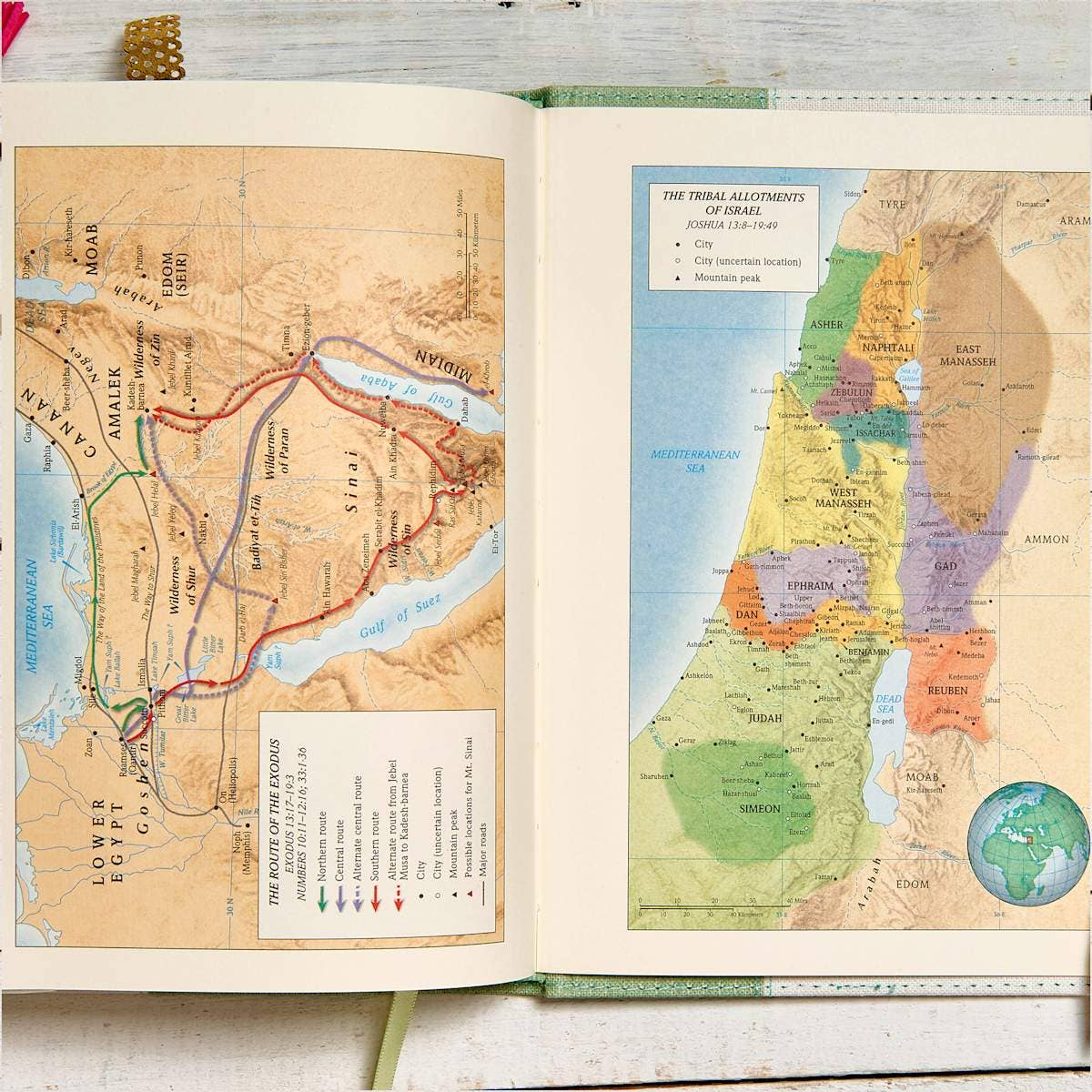 CSB Notetaking Bible| Sage Blooms