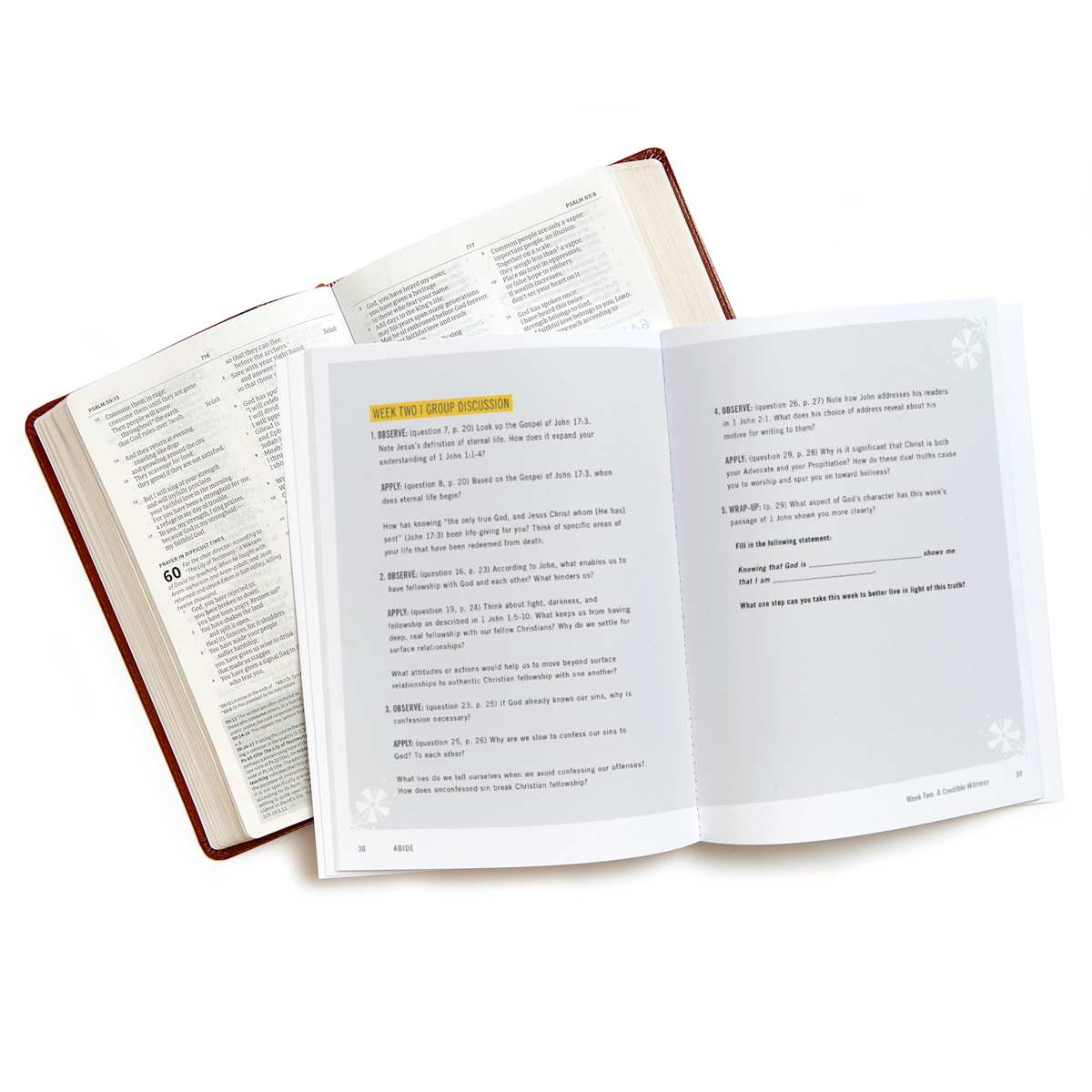 Abide - Bible Study Book | 1,2,3 John