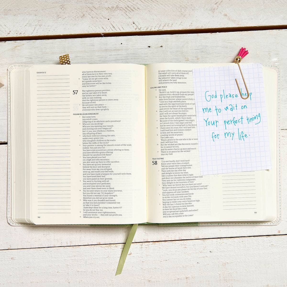 CSB Notetaking Bible| Sage Blooms