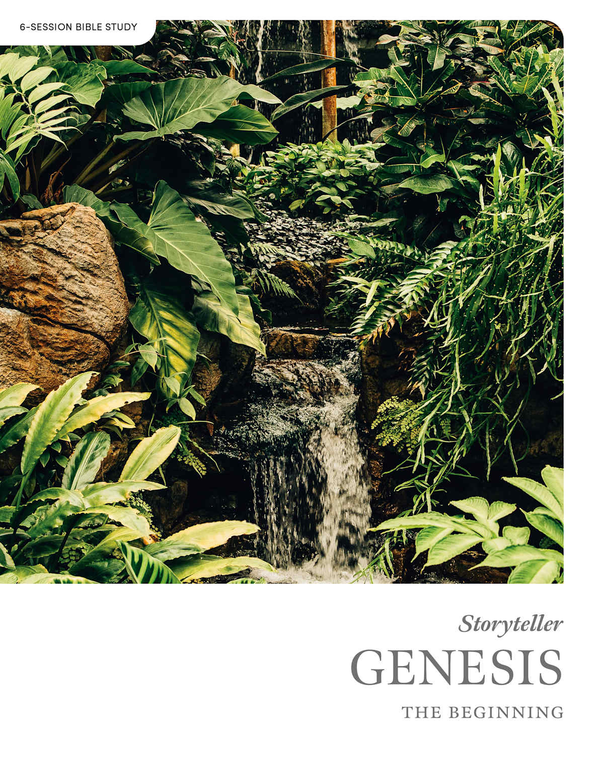 Bible Study Book | Genesis