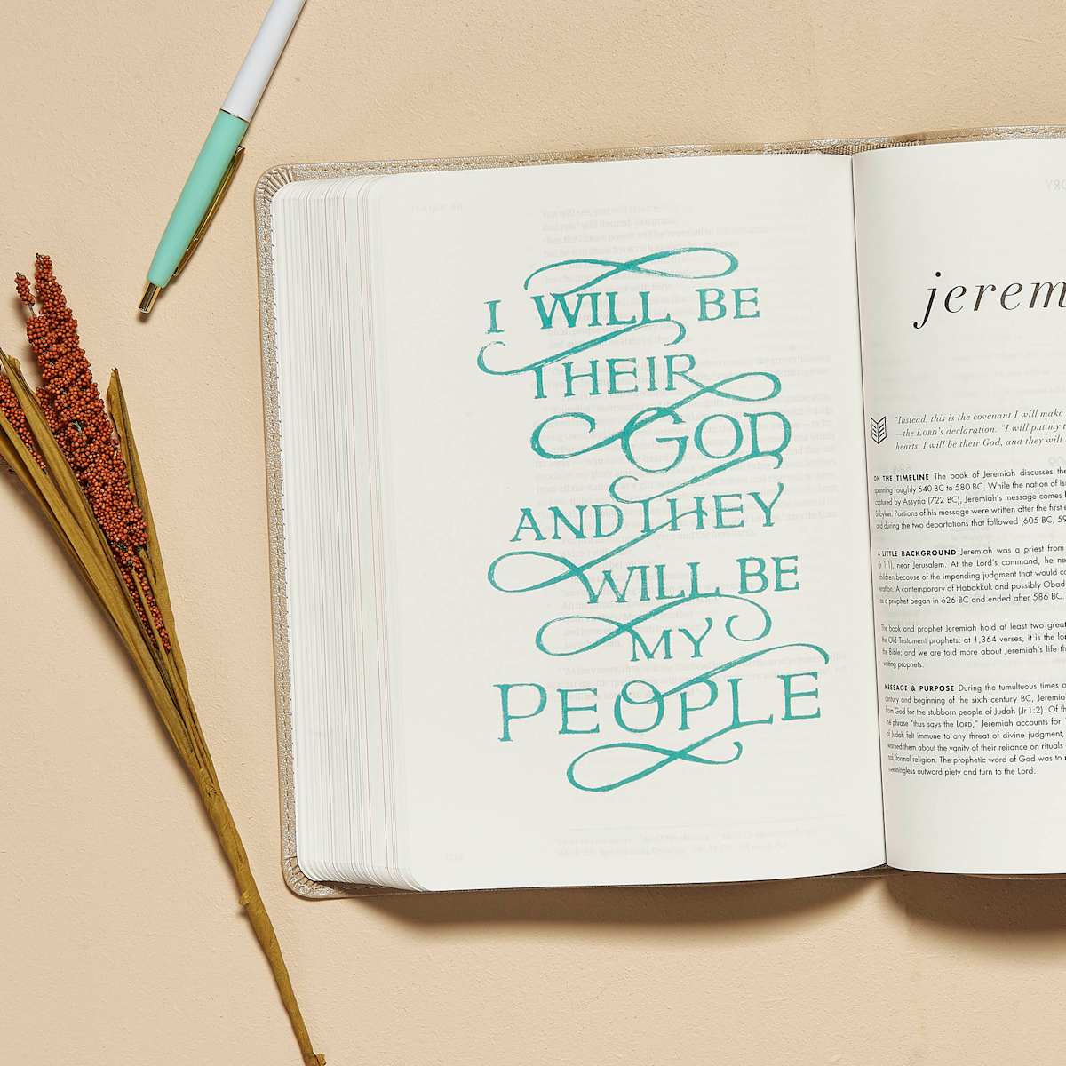 CSB Bible | Champagne Gold