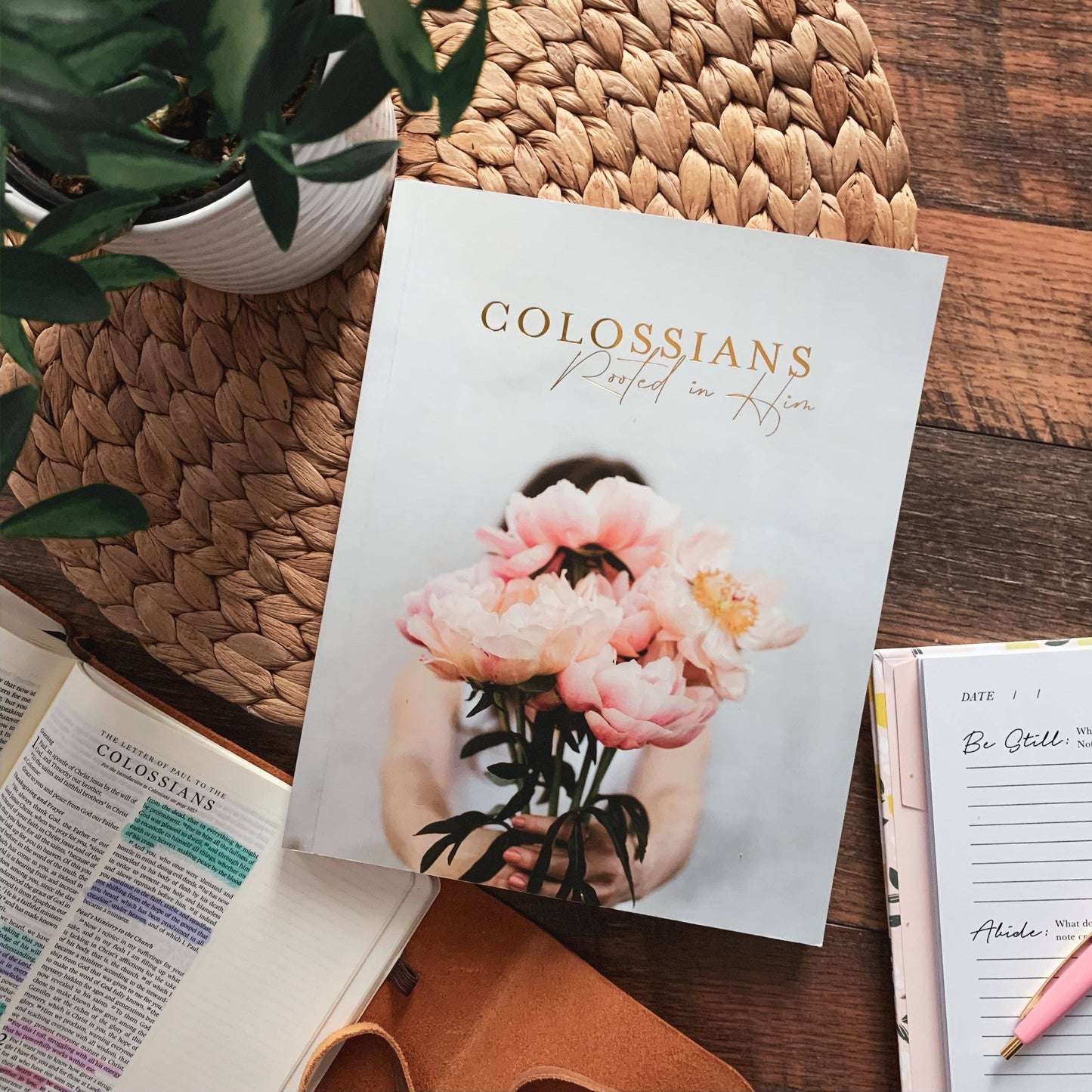 Colossians Bible Study | Rooted in Him.