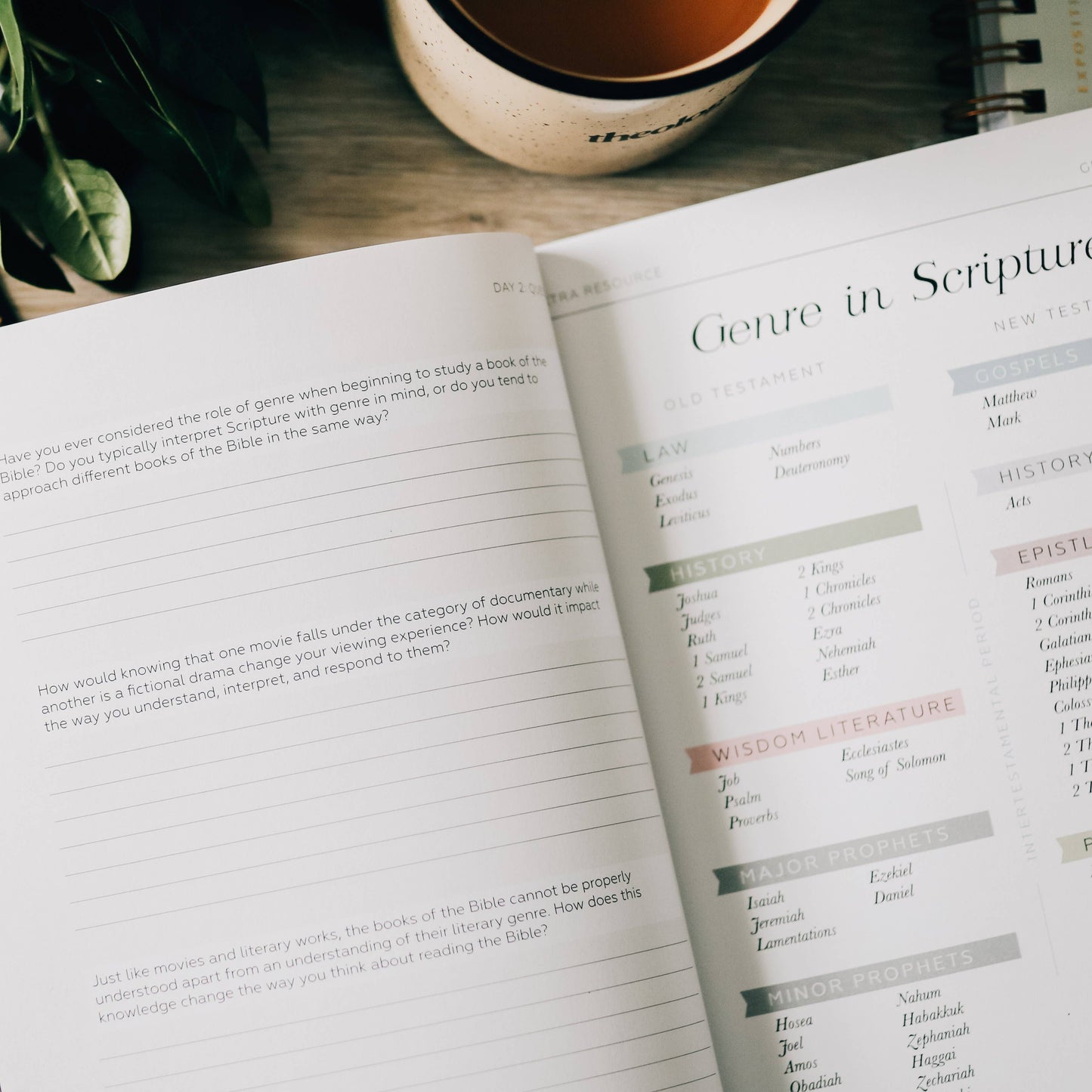Search the Word Workbook