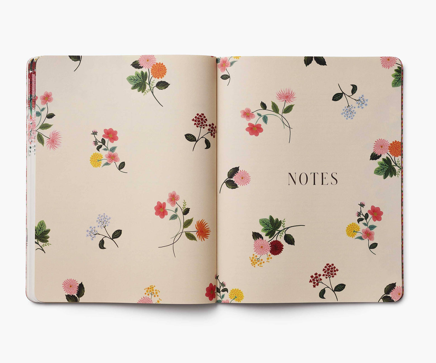 12-Month Planner