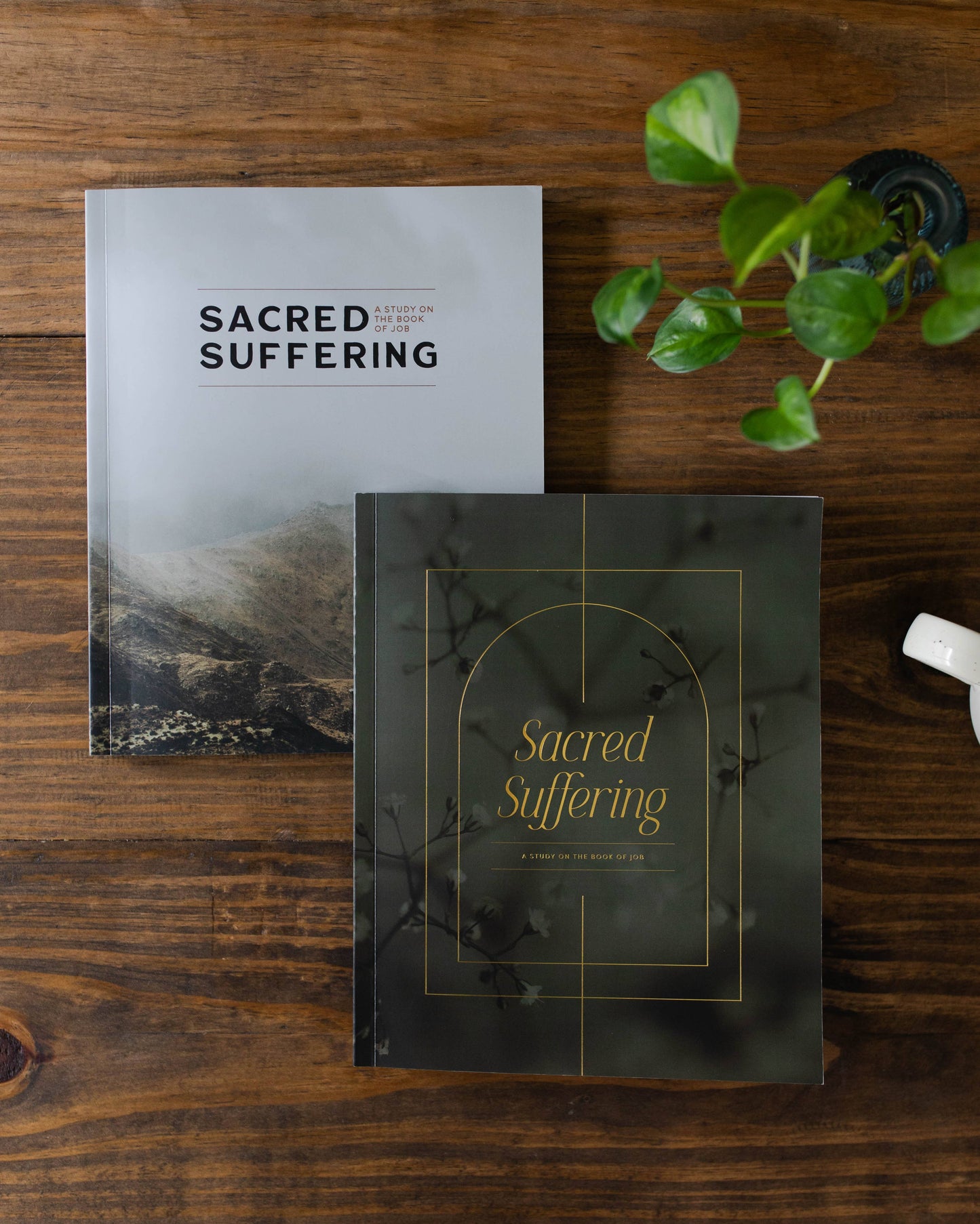 Sacred Suffering | A Study on the Book of Job for Men