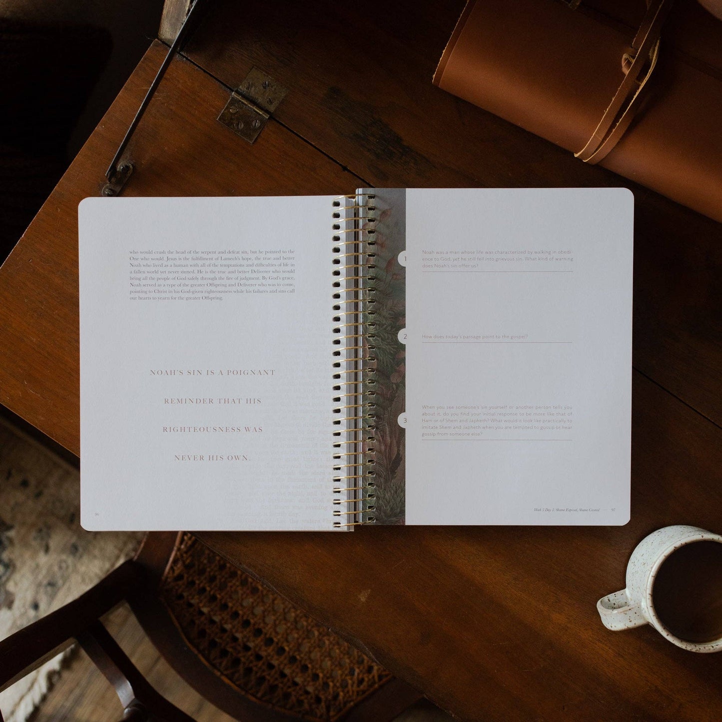 Genesis Bible Study