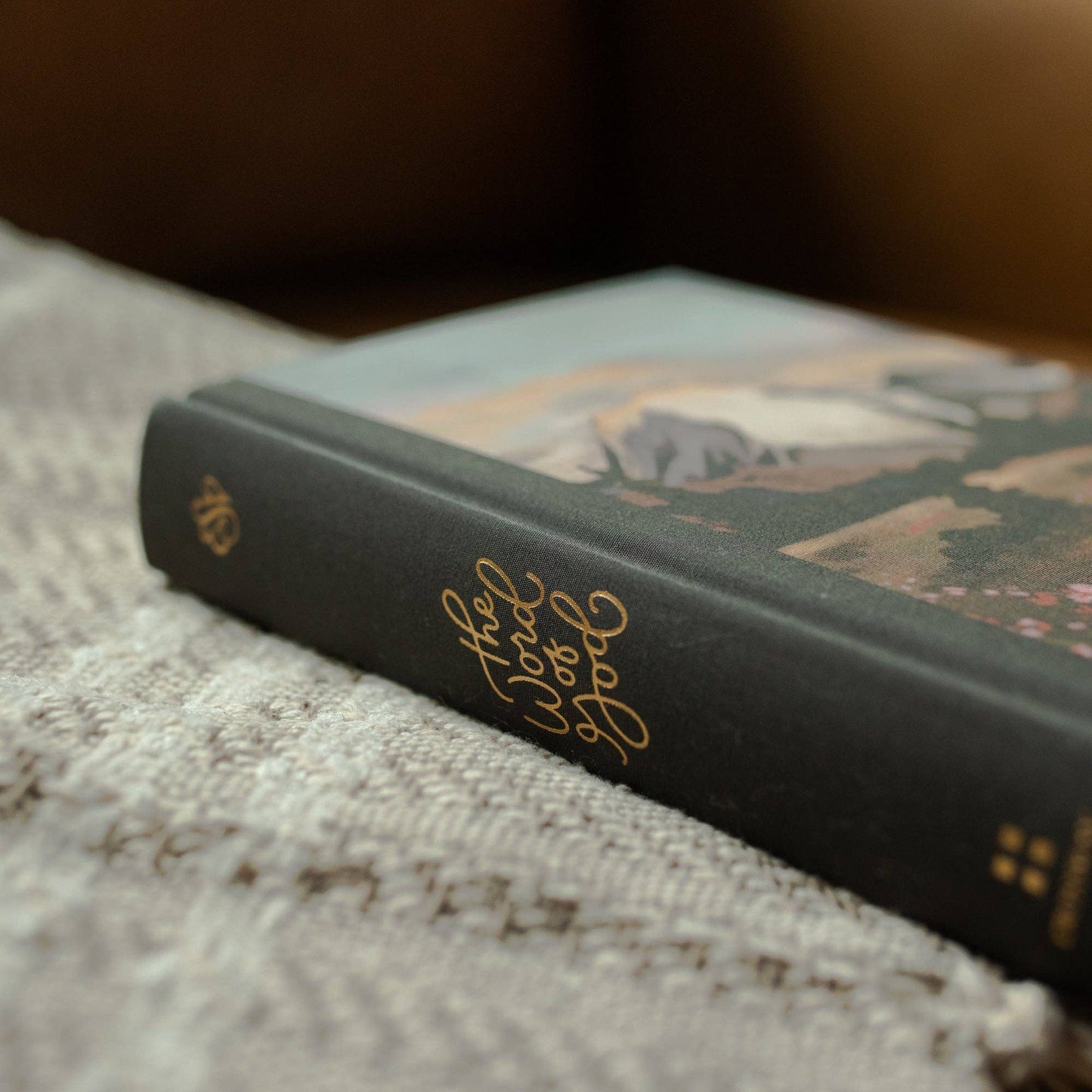 ESV Journaling Bible | Mountains