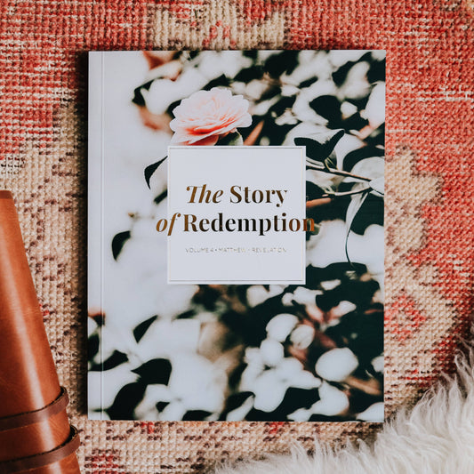 The Story of Redemption | Vol. 4 Study