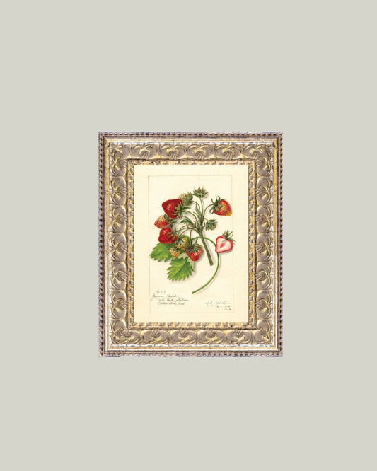 Study of Strawberries Wall Art
