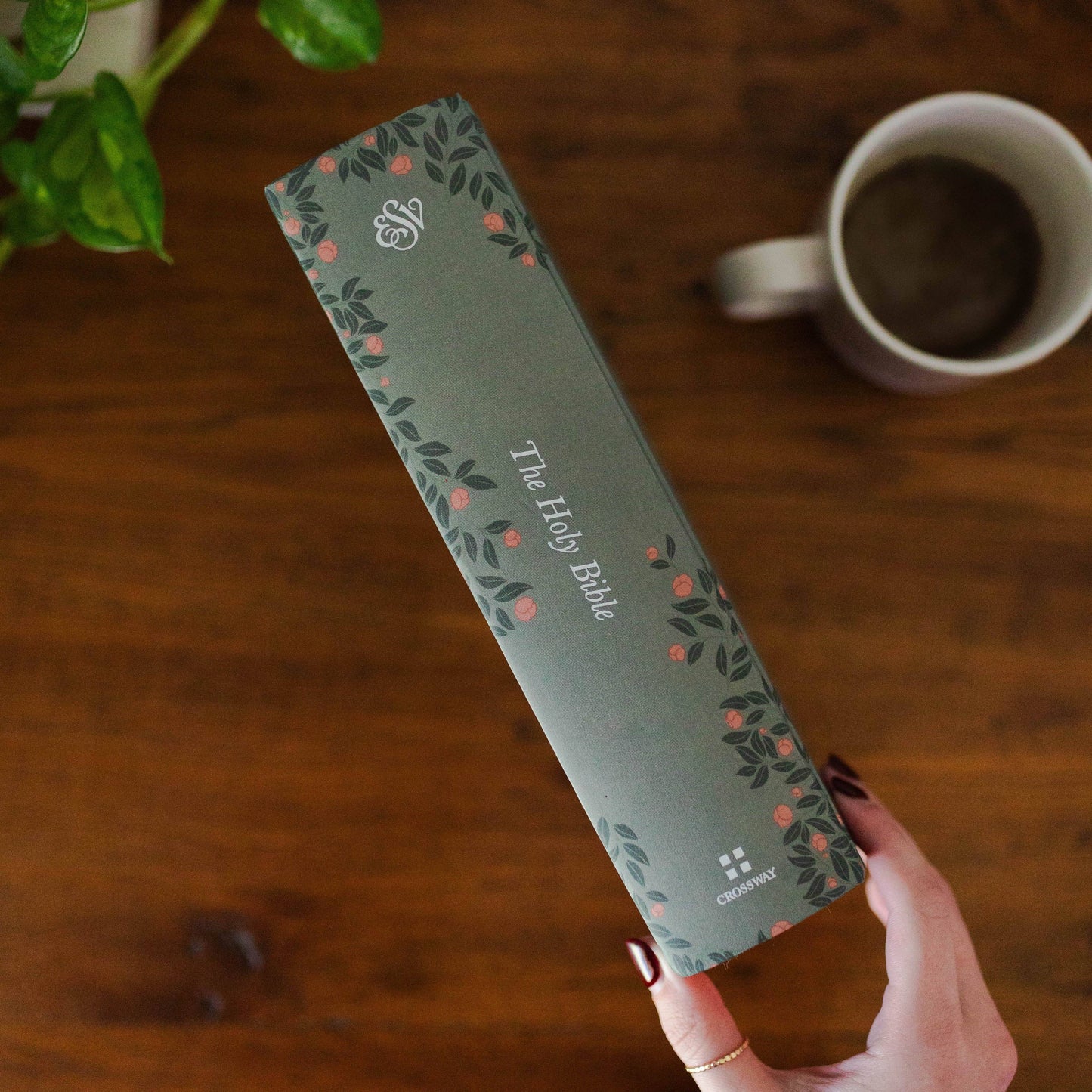 ESV Study Bible: Abide Theme