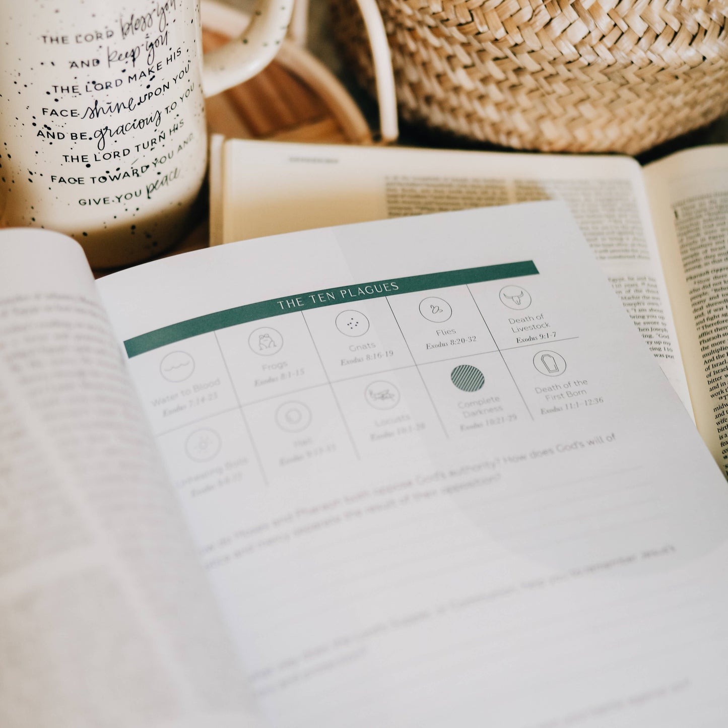 Journey to Freedom Study