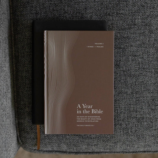 A Year in the Bible Volume 2: 1Kings-Psalms | Men's Study