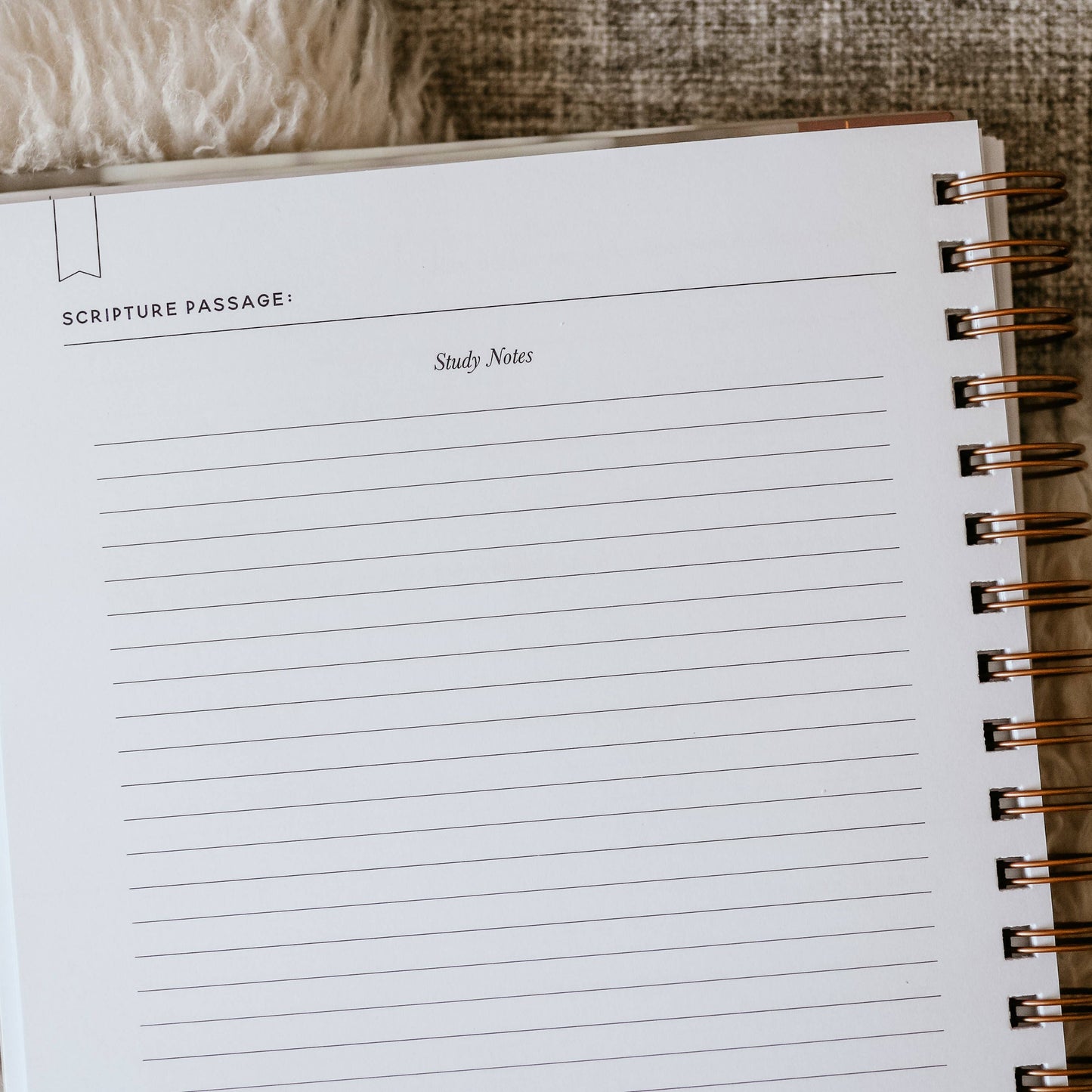 Better Together Journal