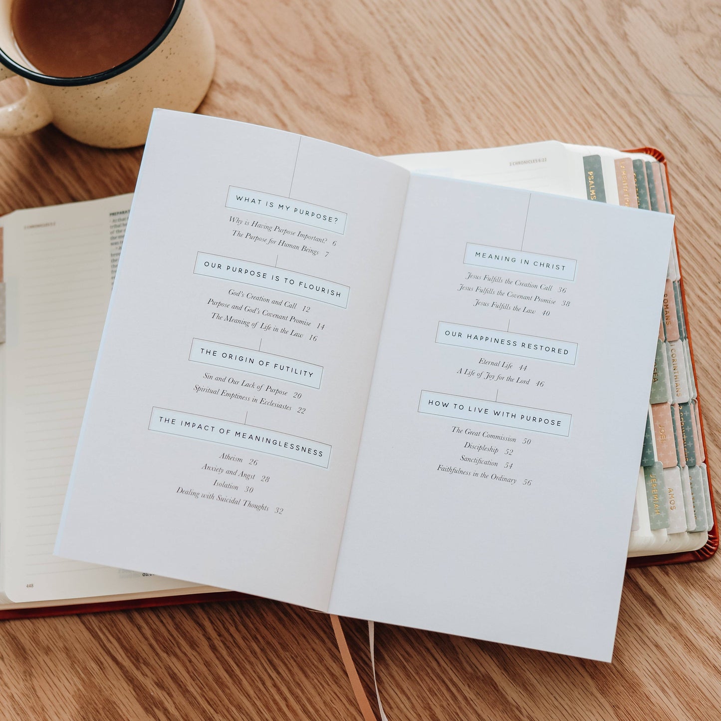 Faith Questions | Purpose Study