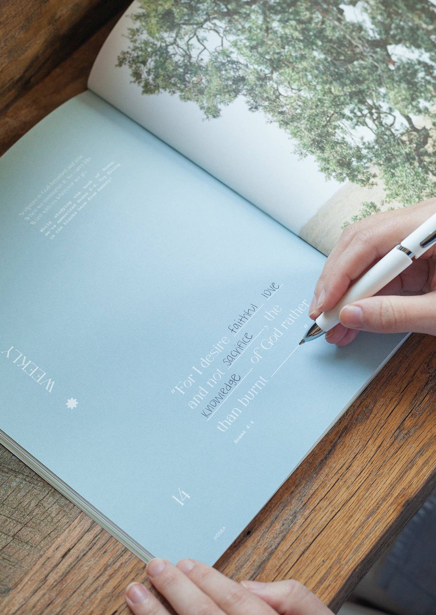 Hosea Study Book