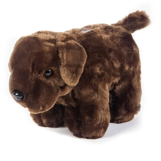 Chocolate Lab Dog Coin Bank